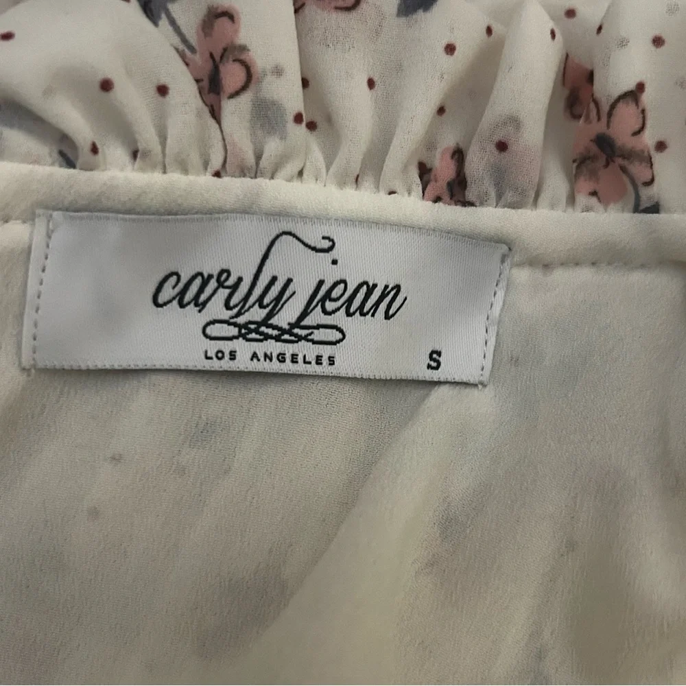 Carly Jean Los Angeles Floral Pleated Dress Small High Neck Cottage Core Prairie - Picture 8 of 9